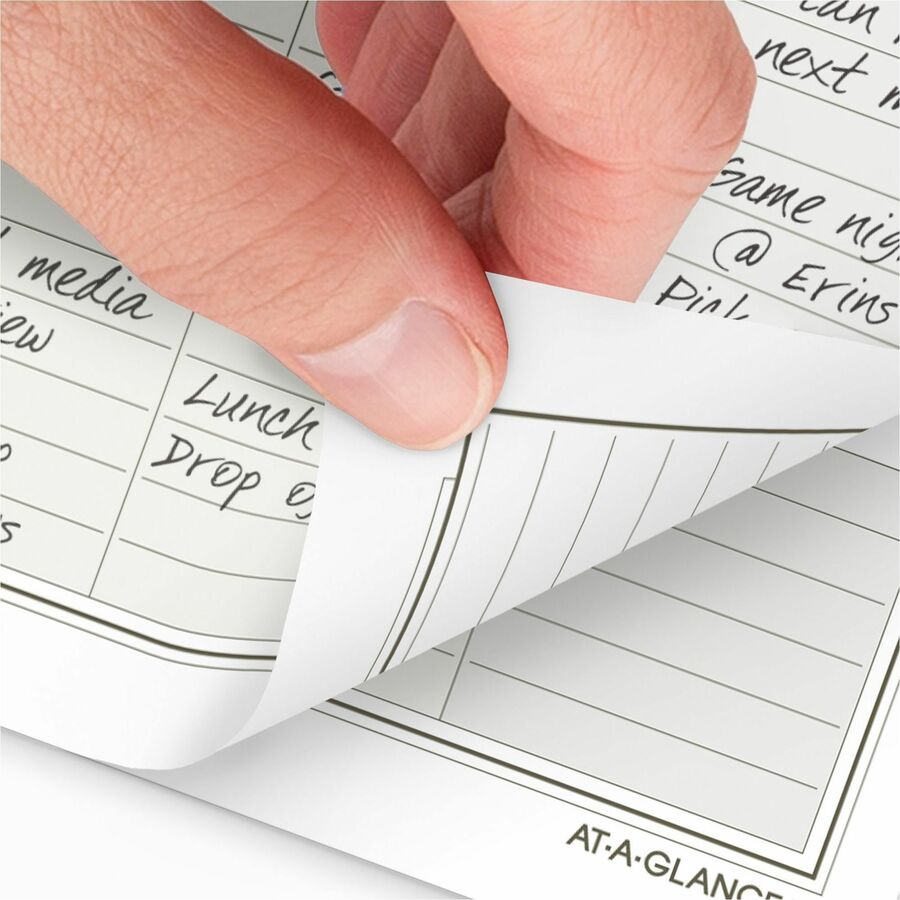 Day Runner Daily Planner One Page Per Day Refill, Loose-Leaf, Desk Size (481125)