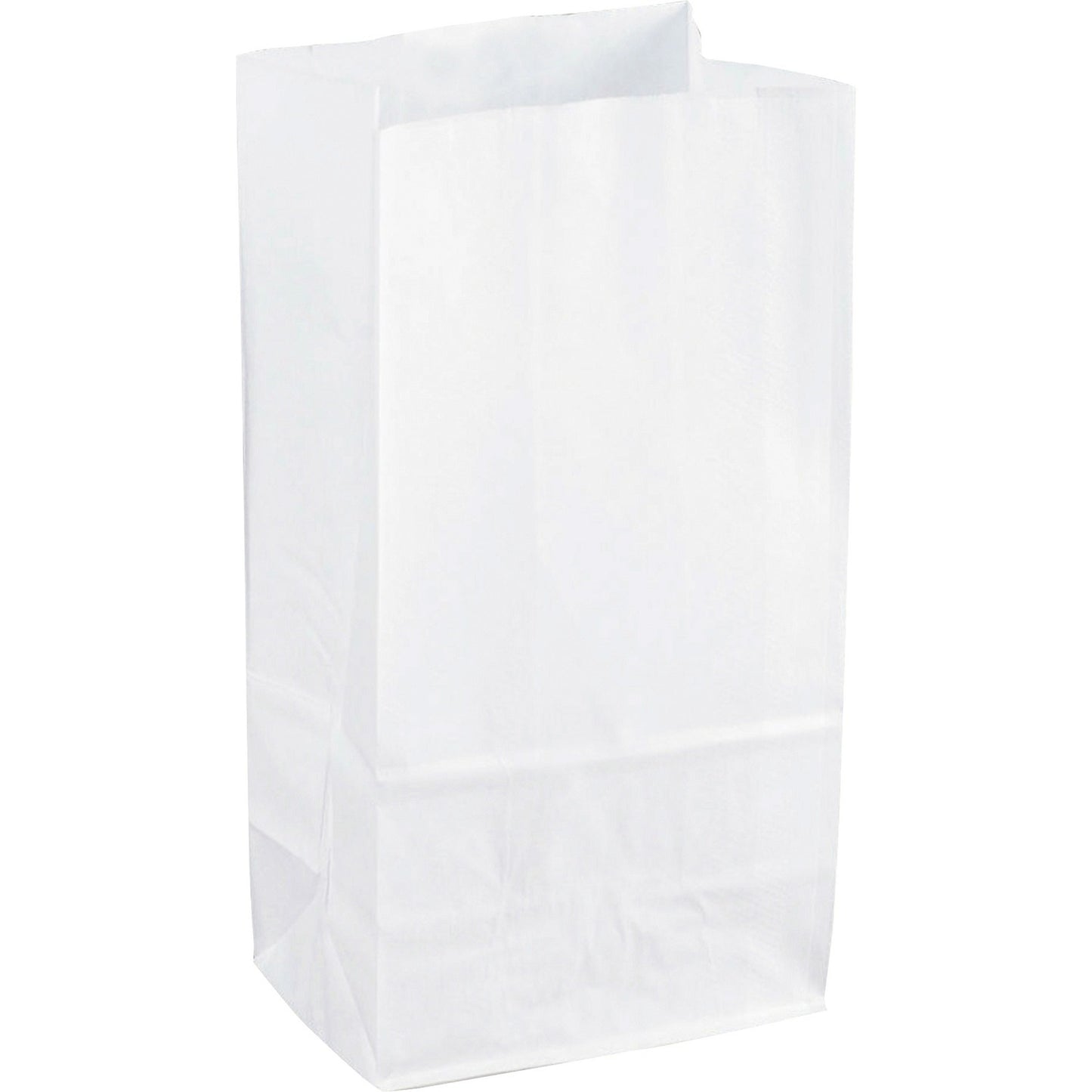Sparco White Kraft Paper Bags (99828)