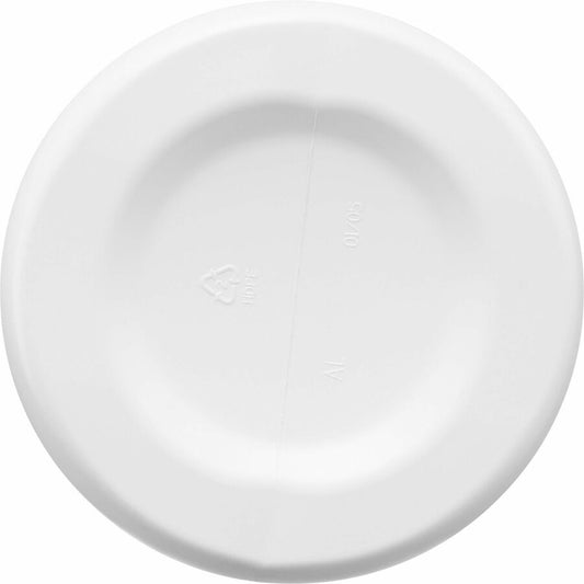 Clorox Germicidal Bleach (30966)