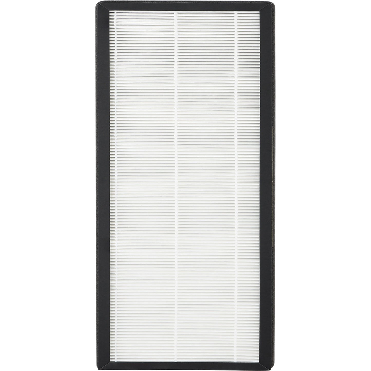 Eureka Air 3-in-1 Air Purifier Replacement Filter (F1)