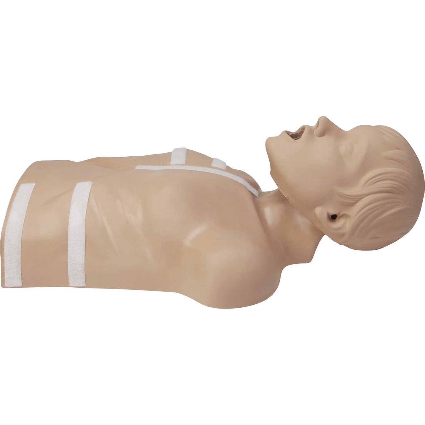 ZOLL CPR-D Demo Manikin (8000083501)