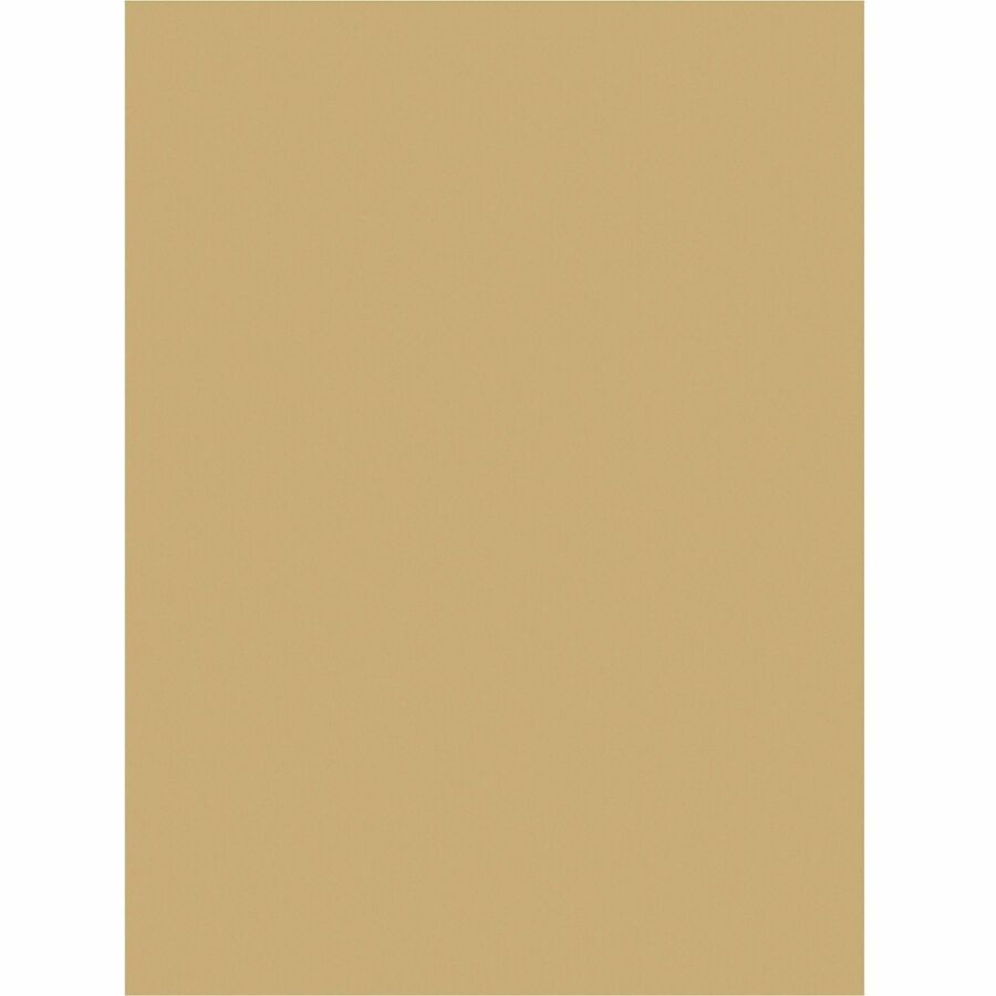 Tru-Ray Construction Paper (P103067)