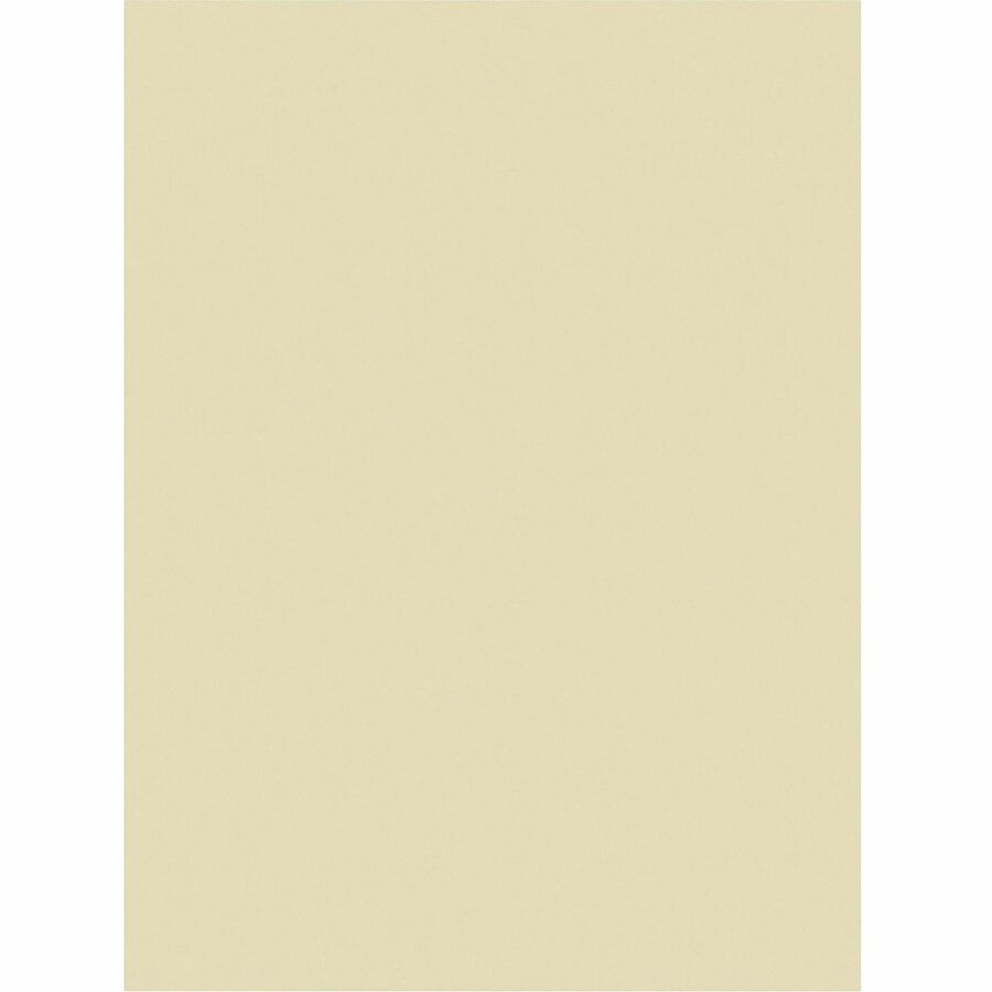 Tru-Ray Construction Paper (P103043)
