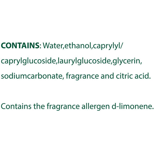 EcoClean Glass Cleaner Spray (60277)