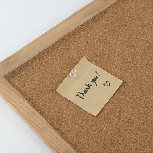 Business Source 1/2" Head Pushpins (81004)