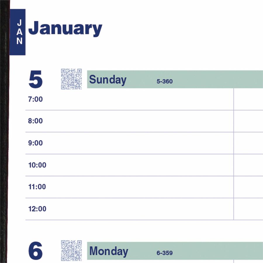 Rediform Plan and Link Weekly Appointment Planner (C527581T)