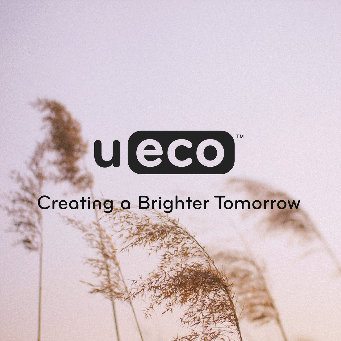 Button/Elastic Closure, 1/12-Cut Tabs, Letter Size, Ocean (6594U0112)