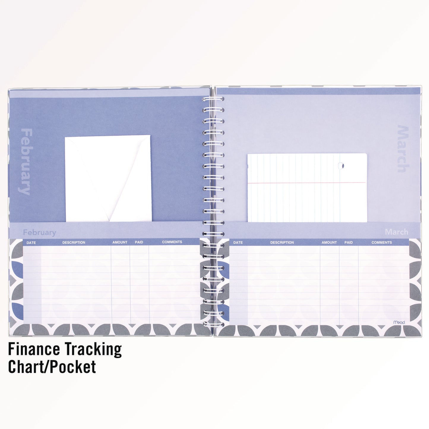Day Runner Monthly Home Finance Organizer, 5 Column Format, Black/Green/White Cover, 11 x 9 Sheets, 30 Sheets/Book (854431)