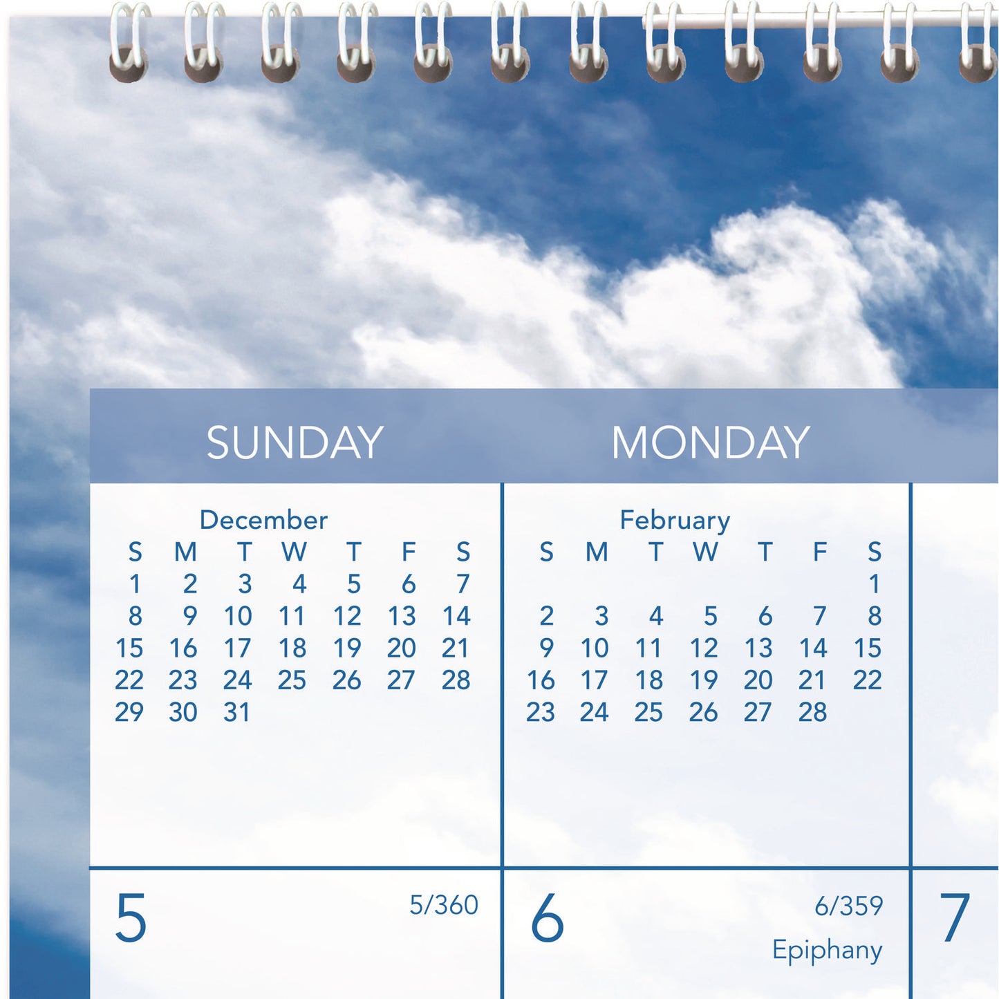 AT-A-GLANCE Tropical Escape Wall Calendar, Tropical Escape Photography, 15 x 12, Pale Blue/Multicolor Sheets, 12-Month (Jan to Dec): 2025 (DMWTE828)