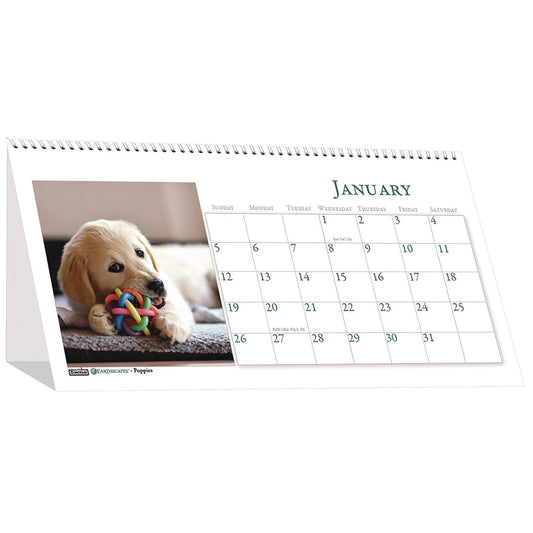 House of Doolittle Earthscapes Recycled Desk Tent Monthly Calendar, Puppies Photography, 8.5 x 4.5, White Sheets, 12-Month (Jan to Dec): 2025 (3659)