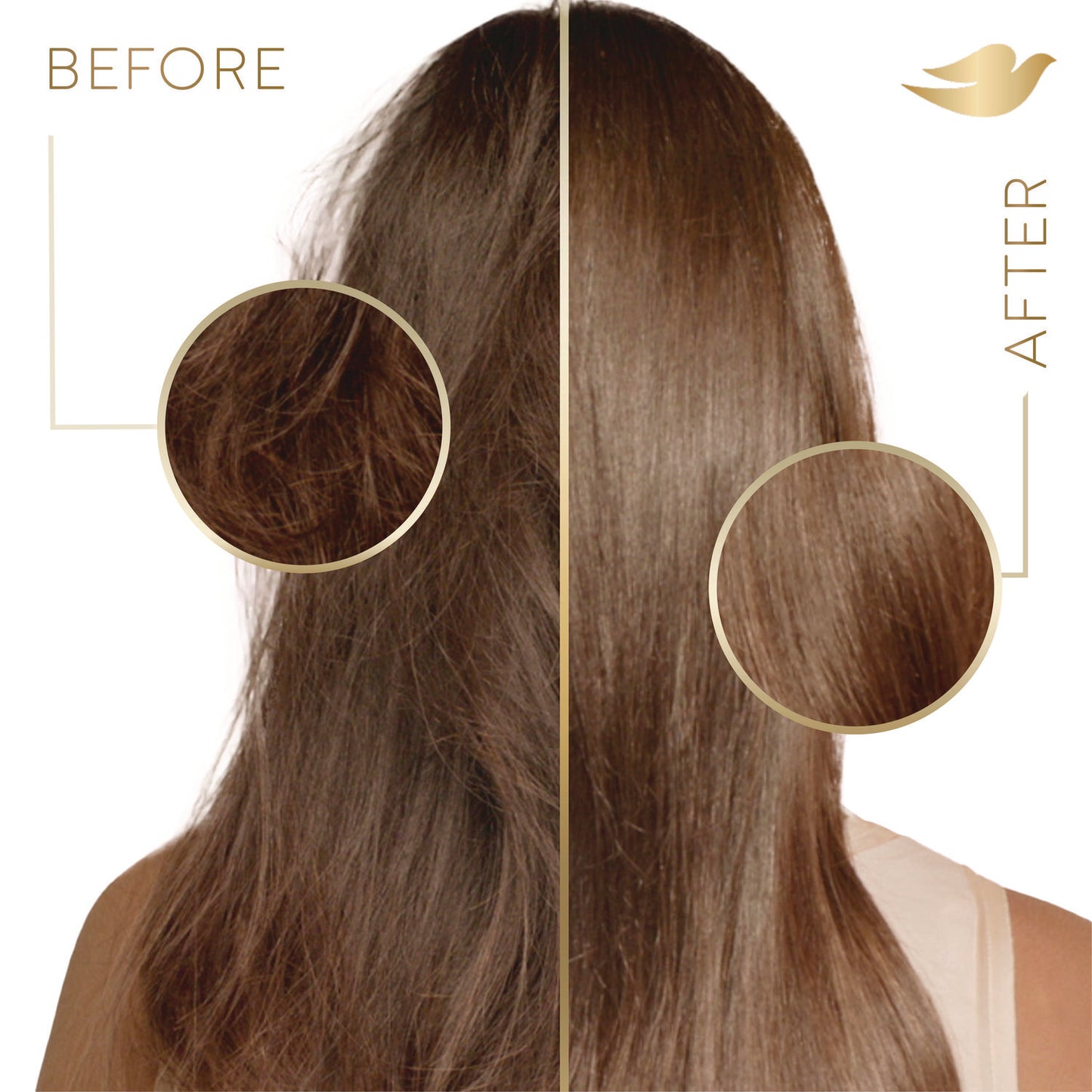 Dove Coconut Conditioner, 12 oz Bottle, 6/Carton (69795720)