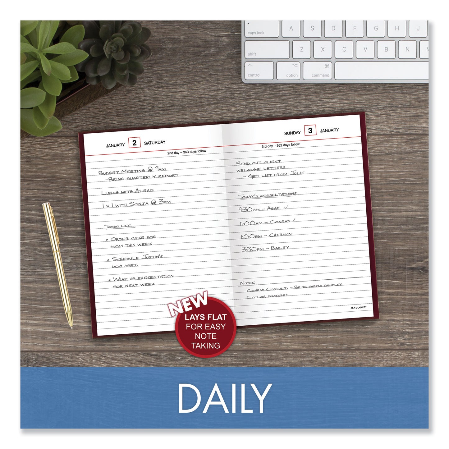 AT-A-GLANCE Standard Diary Daily Reminder Book, 2025 Edition, Medium/College Rule, Red Cover, (201) 7.5 x 5.13 Sheets (SD38713)