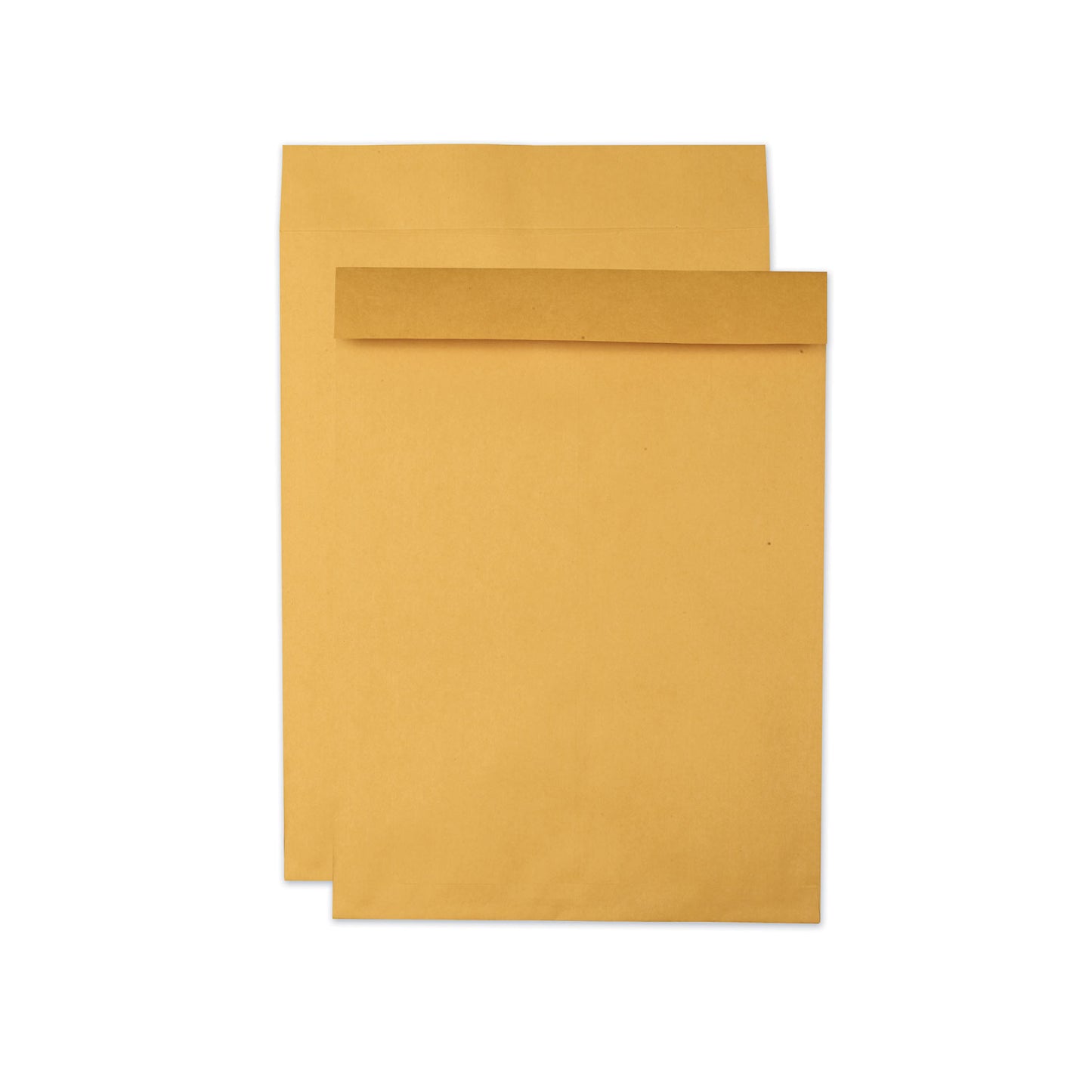 Quality Park Jumbo Size Kraft Envelope, Cheese Blade Flap, Fold-Over Closure, 15 x 20, Brown Kraft, 25/Pack (42355)