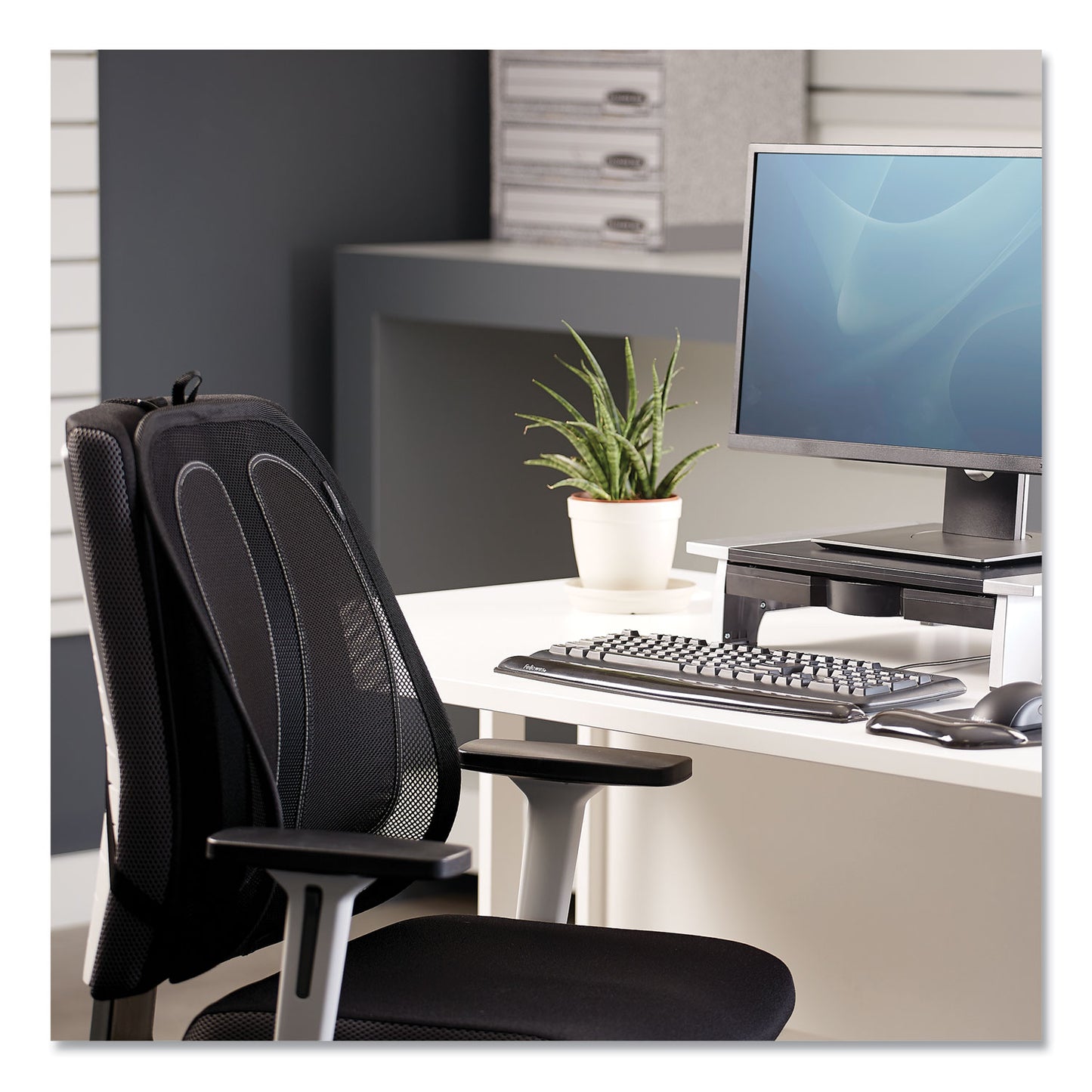 Fellowes Office Suites Mesh Back Support, 17.3 x 5.56 x 20.18, Black (9191301)