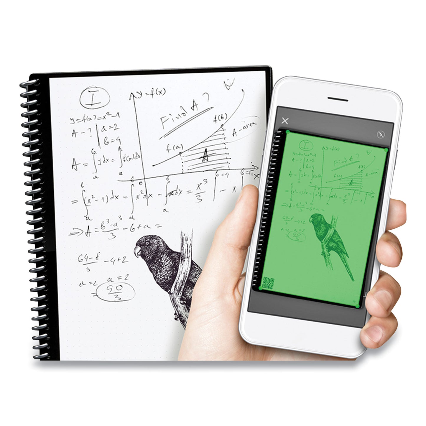 Rocketbook Core Smart Notebook, Dotted Rule, Neptune Teal Cover, (16) 11 x 8.5 Sheets (EVRLRCCE)