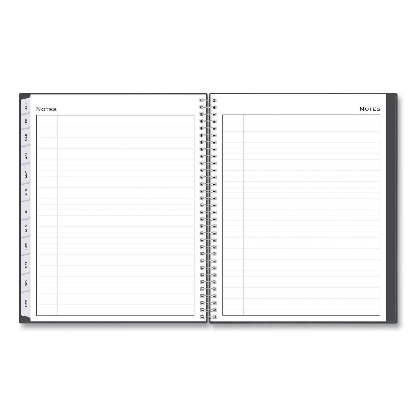 Blue Sky Passages Appointment Planner, 11 x 8.5, Charcoal Cover, 12-Month (Jan to Dec): 2025 (100009)