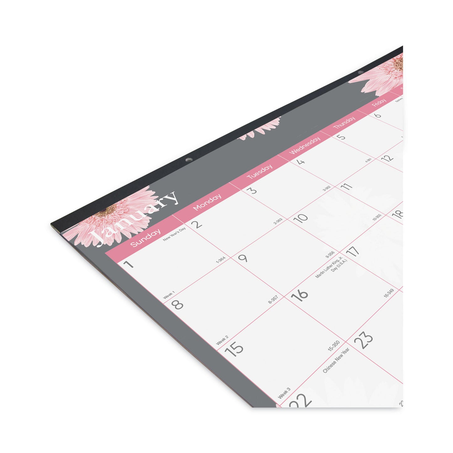 Brownline Monthly Desk Pad Calendar, Pink Daisy Artwork, 22 x 17, Pink/White Sheets, Black Binding, 12-Month (Jan to Dec): 2025 (C193105)