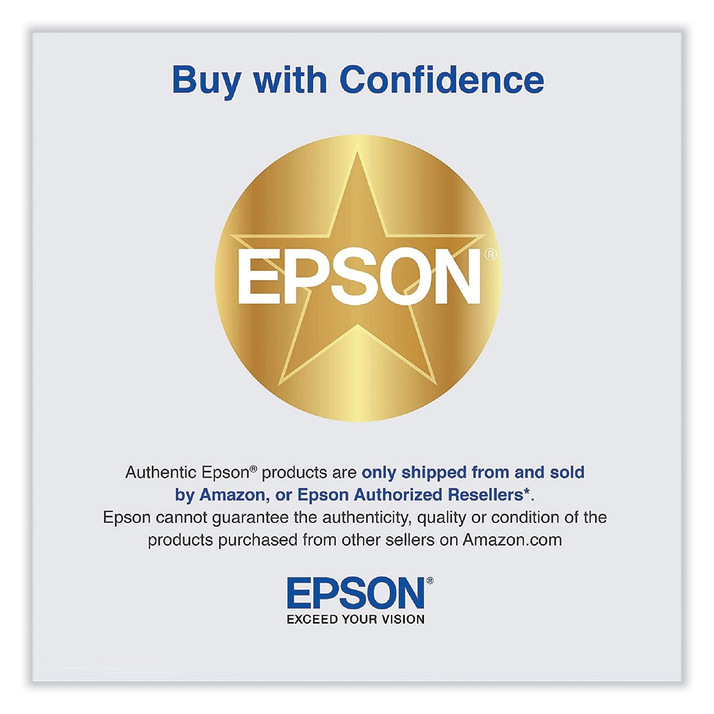 Epson T653900 UltraChrome HDR Ink, Light Light Black