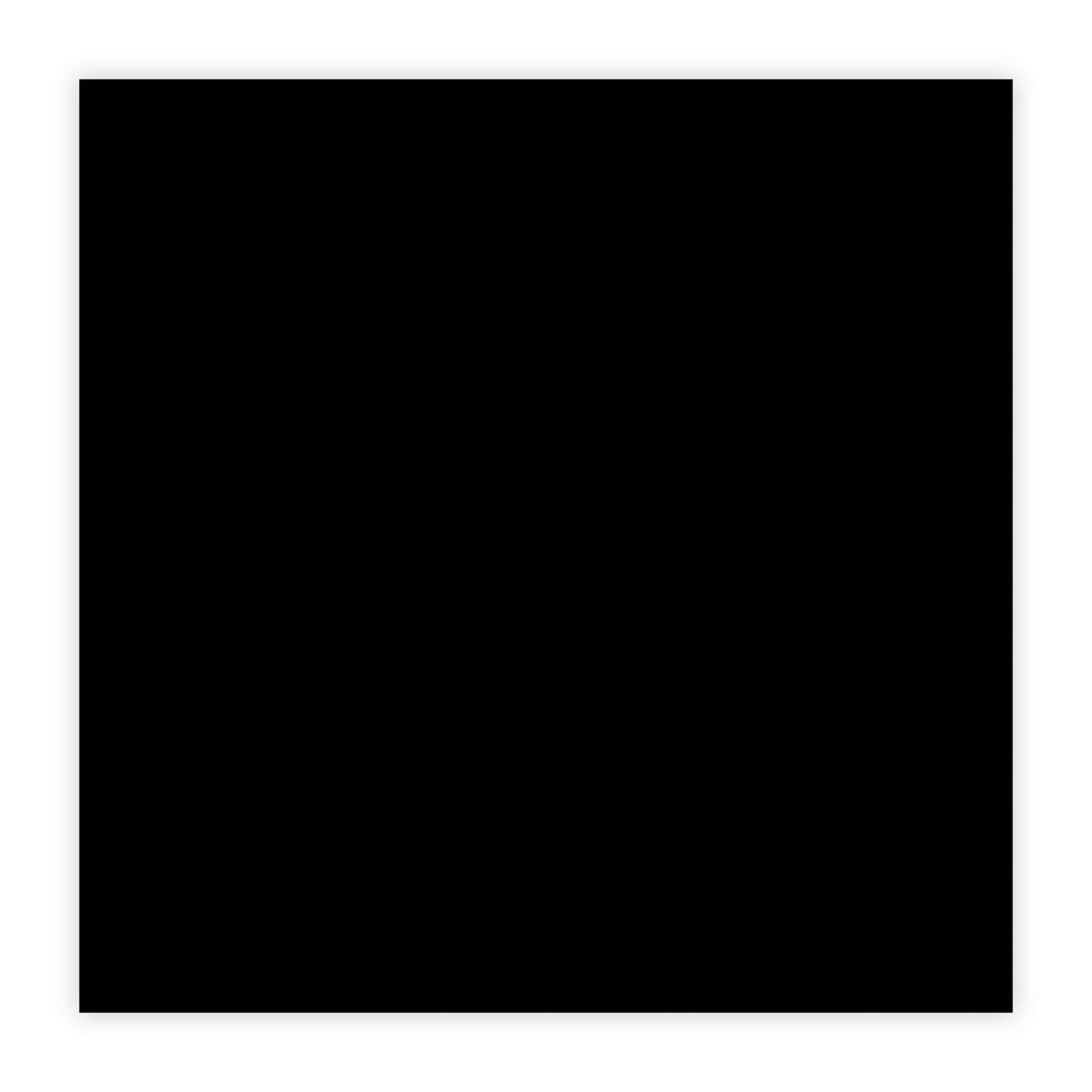 Paper Mate Mirado Black Warrior Pencil, HB (#2), Black Lead, Black Matte Barrel, Dozen (2254)