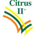 Citrus II