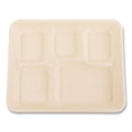 Food Trays & Liners