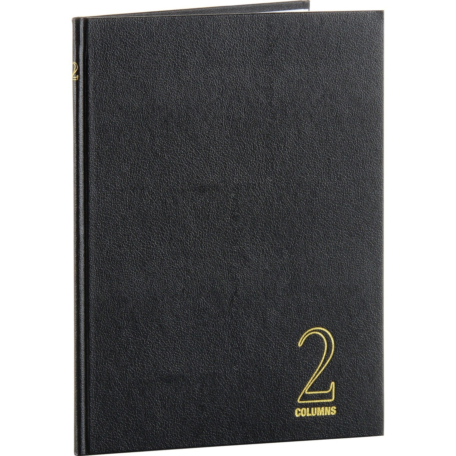 Wilson Jones 74100 2-Column Account Book (74102)