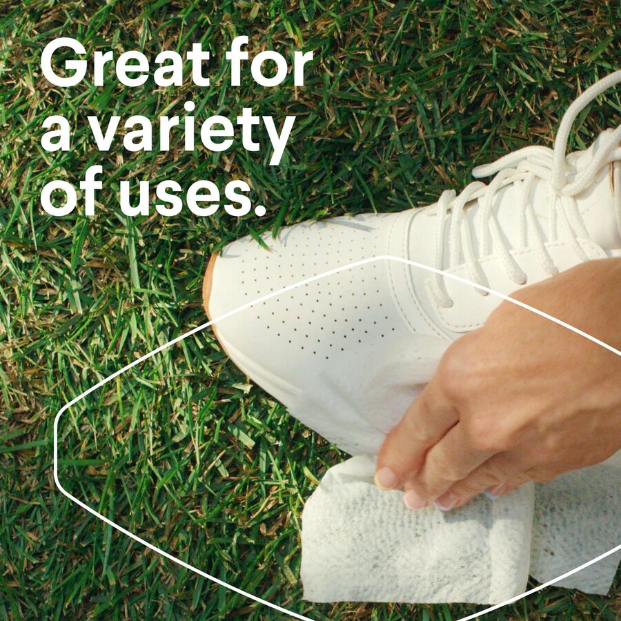 Clorox Disinfecting Cleaning Wipes (01594)