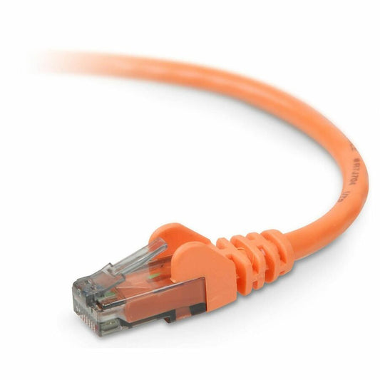 Belkin Cbl,cat6,utp,rj45m/m,30 ,org,sngl (A3L98030ORGS)