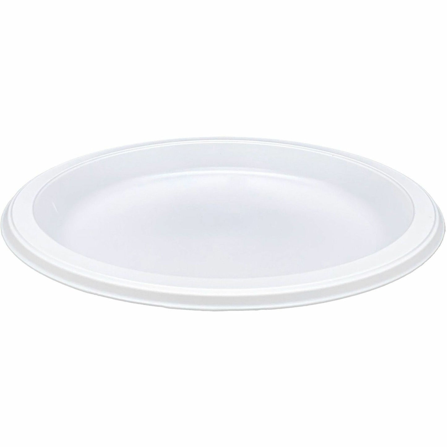 Genuine Joe 9" Reusable Plastic Plates (10329)