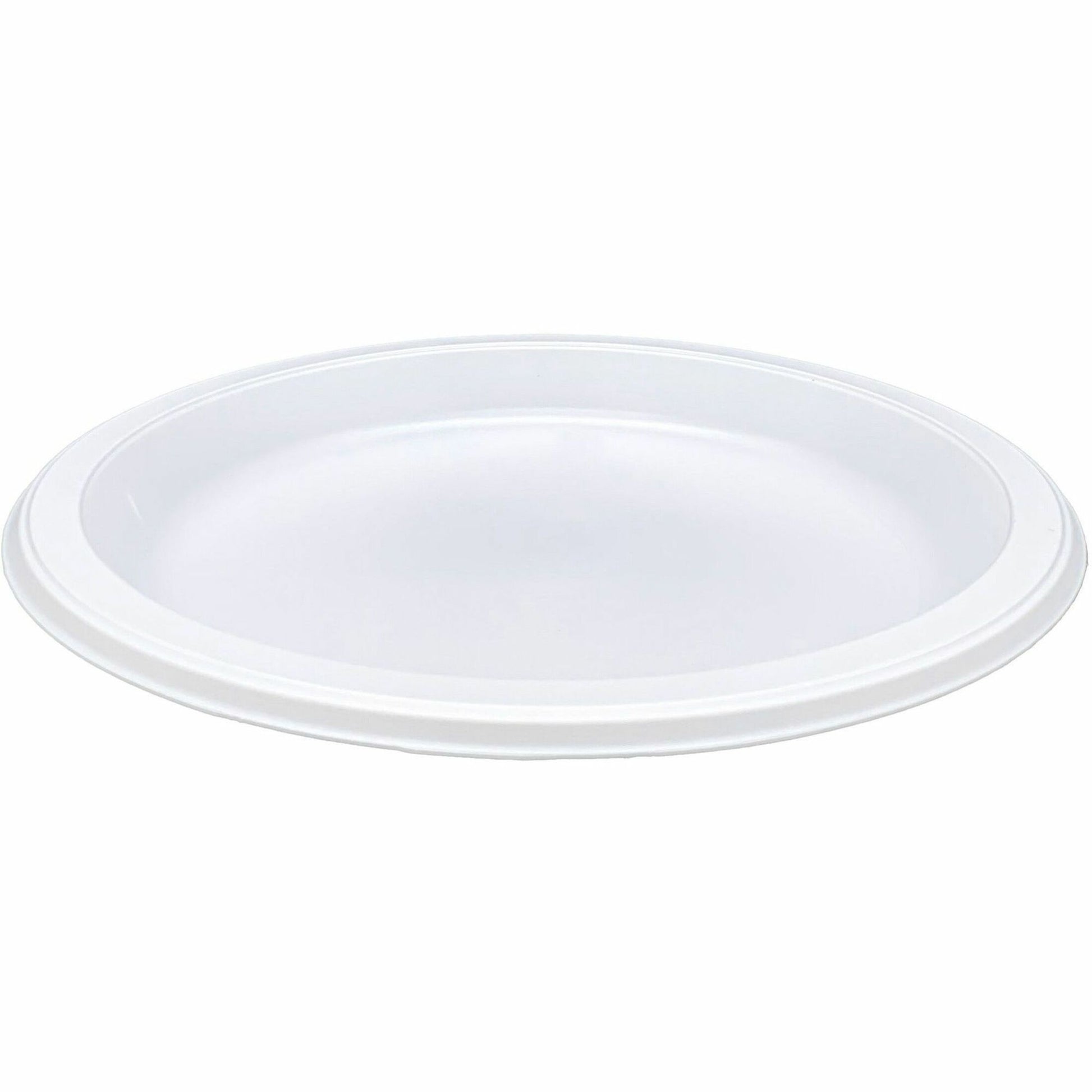 Genuine Joe 9" Reusable Plastic Plates (10329)