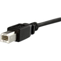 StarTech 1 Ft Panel Mount Usb Cable B To B - F/m (USBPNLBFBM1)