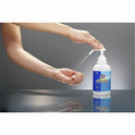 Clorox Commercial Solutions Hand Sanitizer (02176)