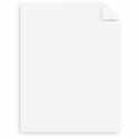 Neenah Paper Neenah Bright White Cardstock (91901)