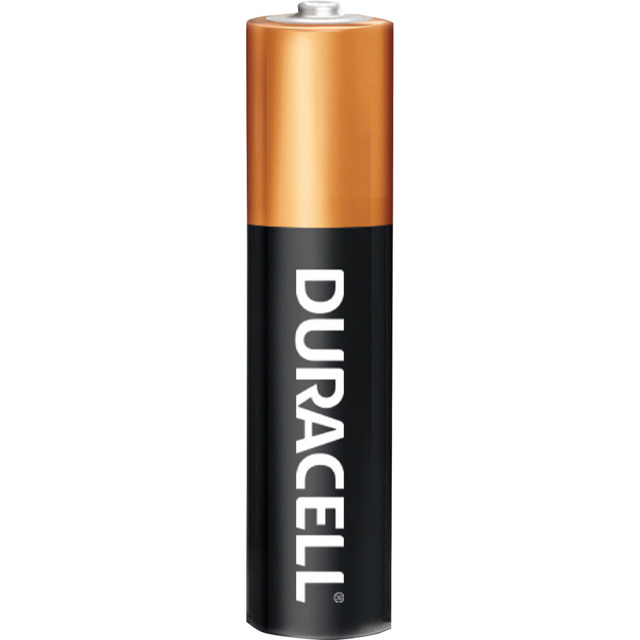 Duracell Coppertop Alkaline AA Batteries (MN1500B20)