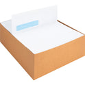 Business Source Security Tint Window Envelopes (16473)