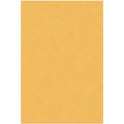 Business Source Heavy-duty Metal Clasp Envelopes (36660)