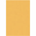 Business Source Heavy-duty Metal Clasp Envelopes (36660)