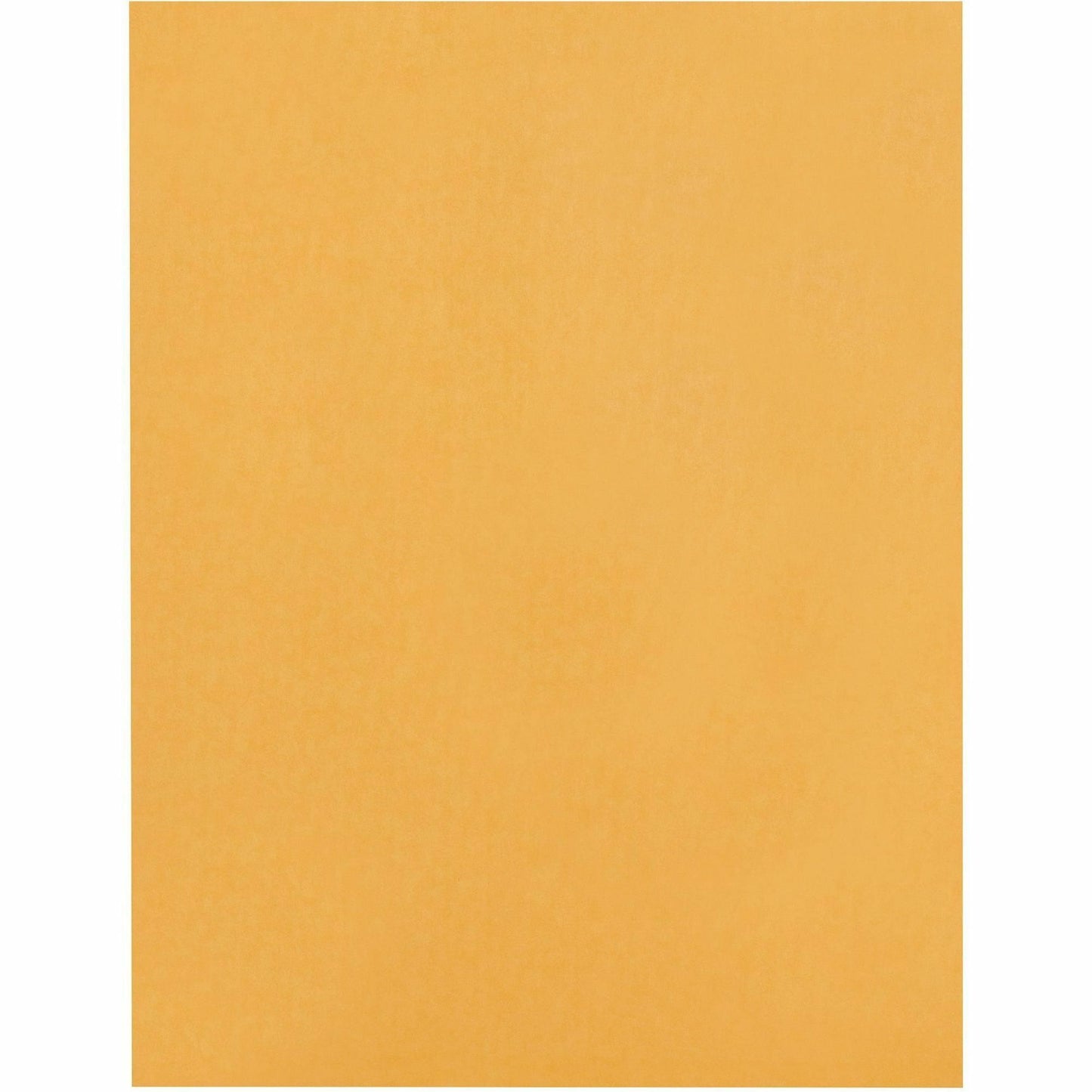 Business Source Heavy-duty Clasp Envelopes (36664)