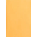 Business Source Durable Kraft Catalog Envelopes (42099)