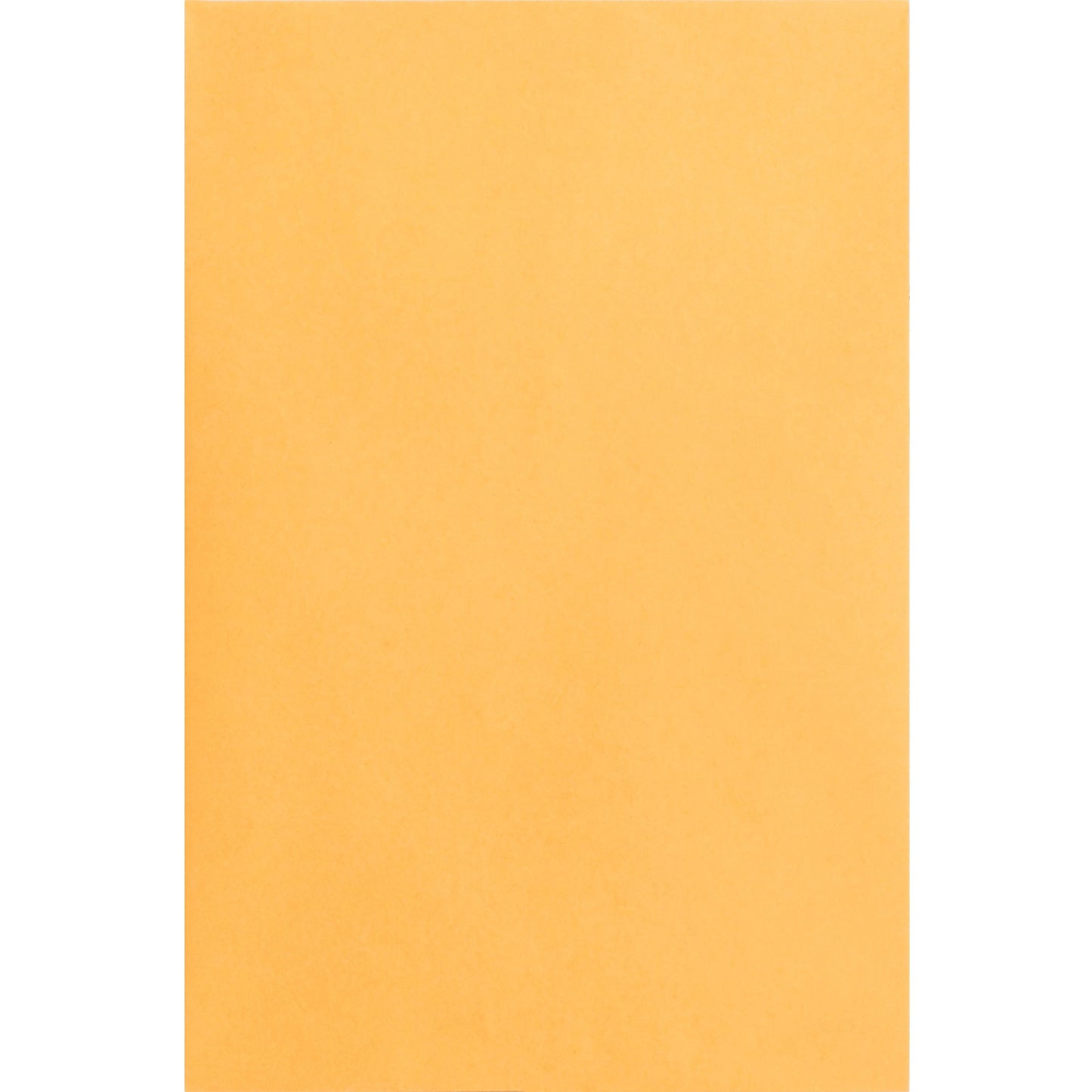 Business Source Durable Kraft Catalog Envelopes (42099)