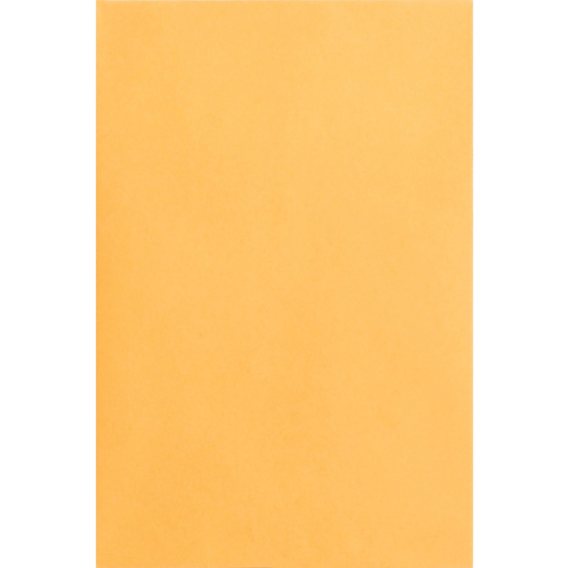 Business Source Durable Kraft Catalog Envelopes (42099)