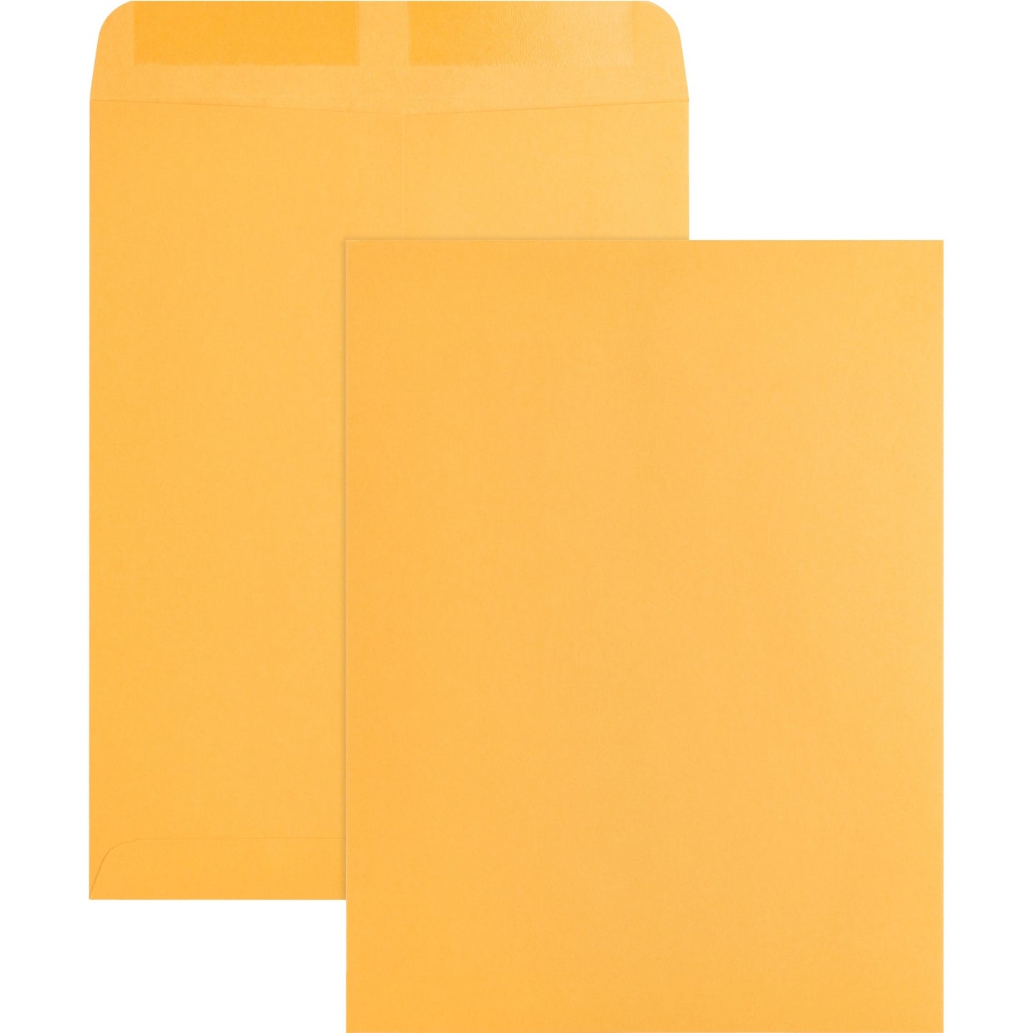 Business Source Kraft Gummed Catalog Envelopes (42100)