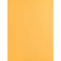 Business Source Kraft Gummed Catalog Envelopes (42100)