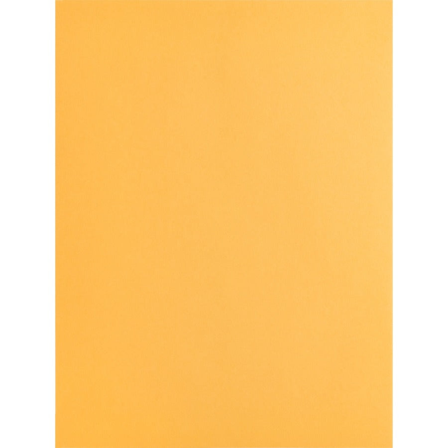 Business Source Kraft Gummed Catalog Envelopes (42100)