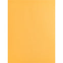 Business Source Kraft Gummed Catalog Envelopes (42100)