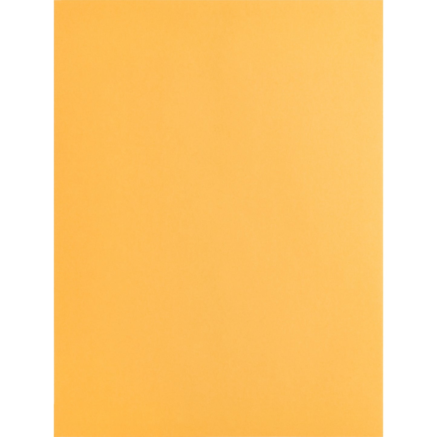 Business Source Kraft Gummed Catalog Envelopes (42100)