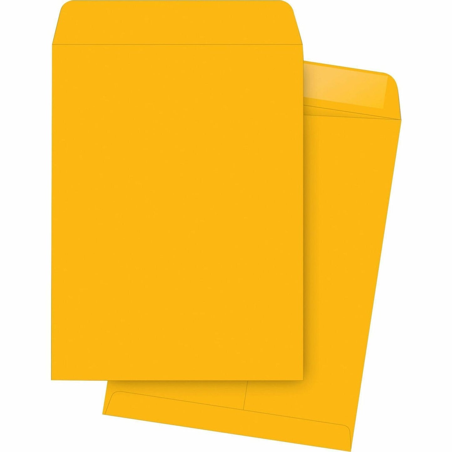 Business Source Kraft Gummed Catalog Envelopes (42101)