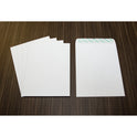 Business Source Self Sealing Catalog Envelope (65450)