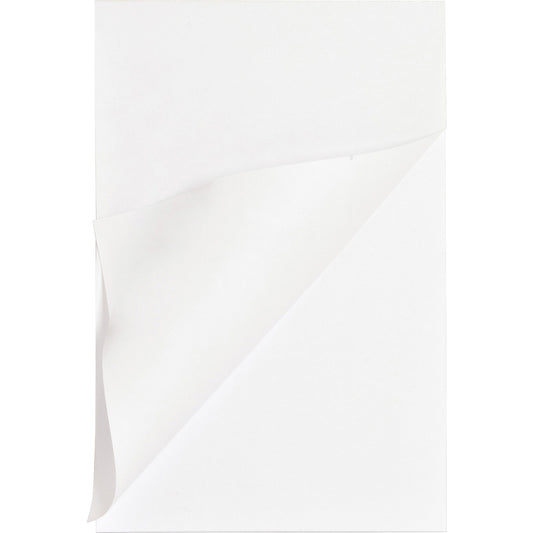 Business Source Plain Memo Pads (65901)