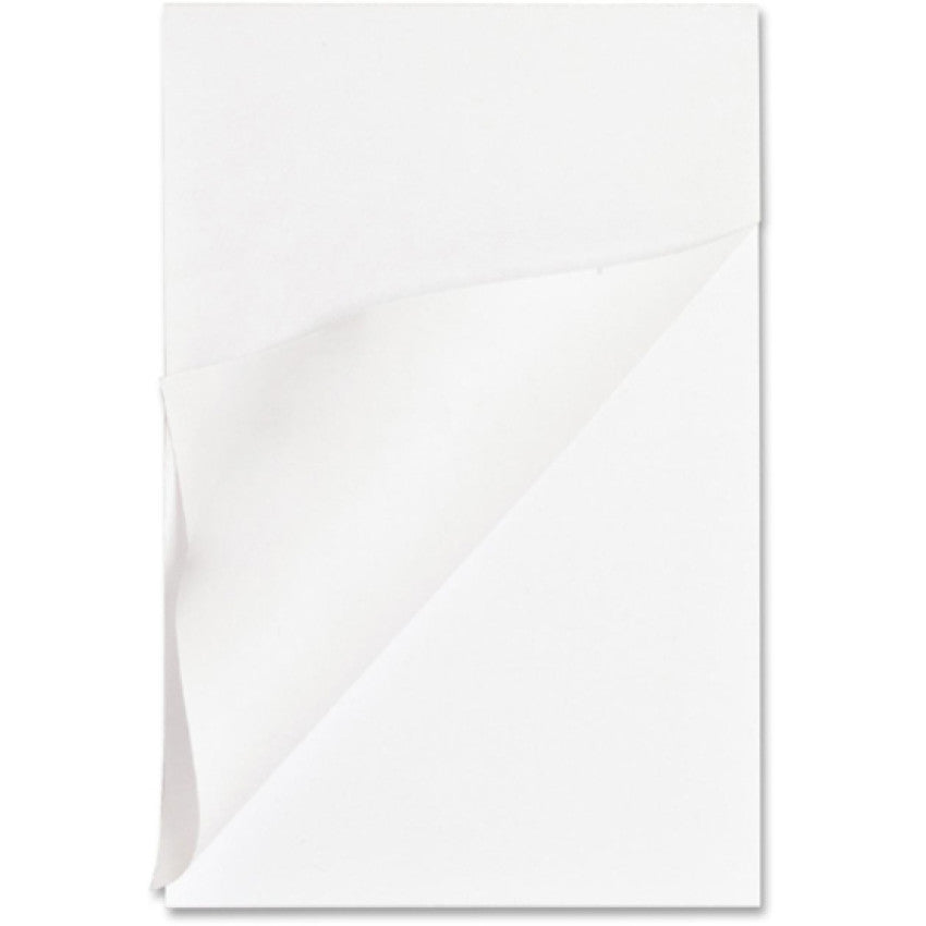 Business Source Plain Memo Pads (65901)